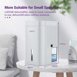 LOEFME 1L Tank Capacity Silent Electric Dehumidifier with Timer