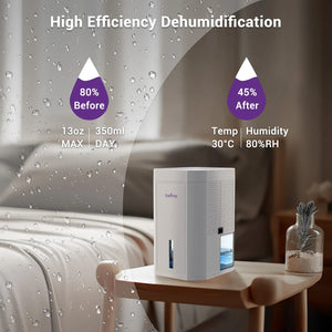 LOEFME 1L Tank Capacity Silent Electric Dehumidifier with Timer