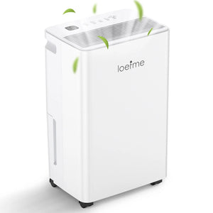 LOEFME 12L/day 2-in-1 dehumidifier with 2L water tank