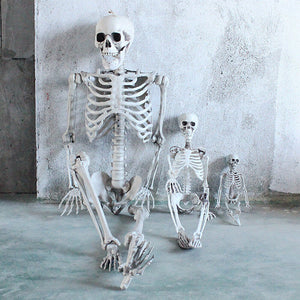 Skeleton Full Size Poseable Human Halloween Party Prop - ShopBox 