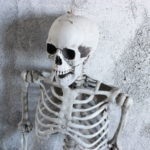 Skeleton Full Size Poseable Human Halloween Party Prop - ShopBox 