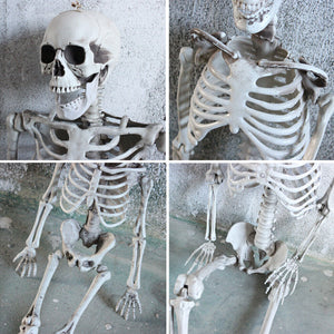 Skeleton Full Size Poseable Human Halloween Party Prop - ShopBox 