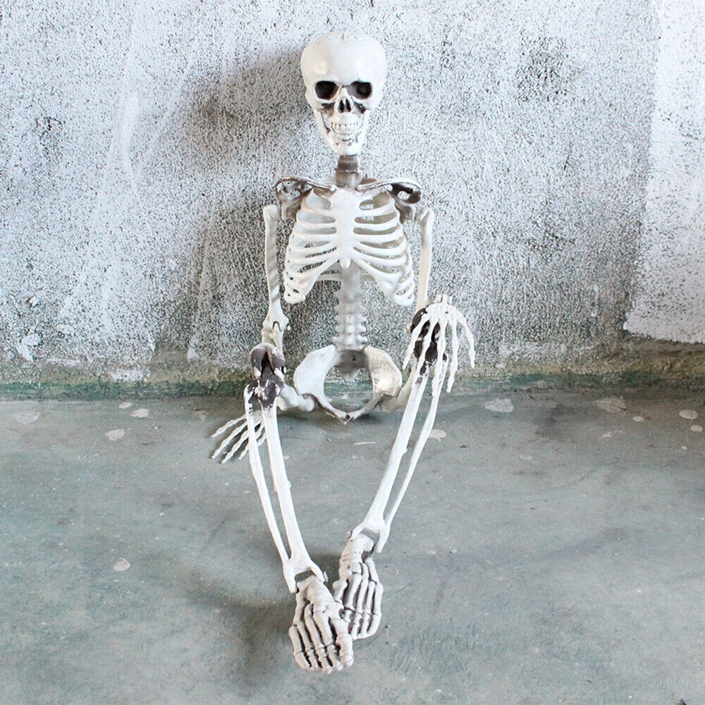 Skeleton Full Size Poseable Human Halloween Party Prop - ShopBox 